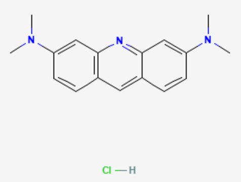 吖啶橙 溶液 2% in H2O