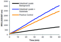 Diamine Oxidase Activity Assay Kit (Fluorometric) sufficient for 100 fluorometric&nbsp;tests