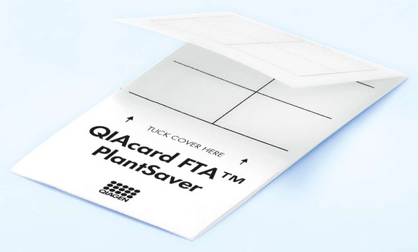 QIAcard&#8482; FTA&#8482; PlantSaver cards 4 sample areas per card, pkg of 100&#160;ea