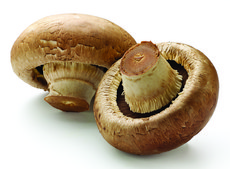 2-Tridecanone ≥98%, natural, FG