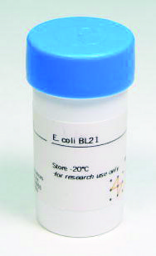 E. coli BL21 Cytiva 27-1542-01, pack of 1&#160;vial