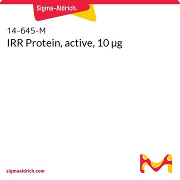 IRR Protein, active, 10 µg