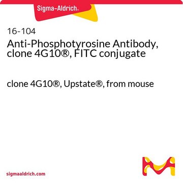 Anti-Phosphotyrosine Antibody, clone 4G10&#174;, FITC conjugate clone 4G10®, Upstate&#174;, from mouse