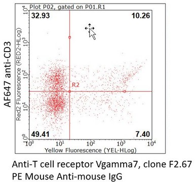 Anti-TCR V&#947;7 Antibody, clone F2.67