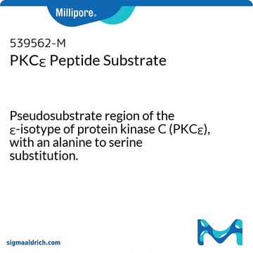 PKC&#949; Peptide Substrate Pseudosubstrate region of the &#949;-isotype of protein kinase C (PKC&#949;), with an alanine to serine substitution.