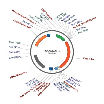 PSF-CMV-FLUC - CMV FIREFLY LUCIFERASE PLASMID plasmid vector for molecular cloning