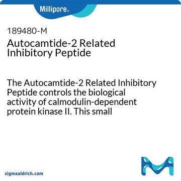 Autocamtide-2 Related Inhibitory Peptide The Autocamtide-2 Related Inhibitory Peptide controls the biological activity of calmodulin-dependent protein kinase II. This small molecule/inhibitor is primarily used for Phosphorylation &amp; Dephosphorylation applications.