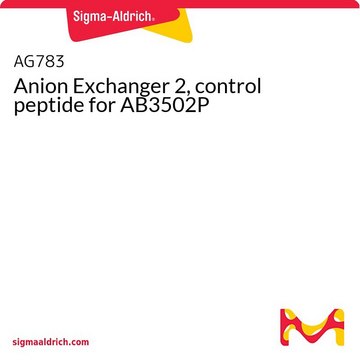 Anion Exchanger 2, control peptide for AB3502P