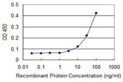 Monoclonal Anti-EFNA3 antibody produced in mouse clone 1C12, purified immunoglobulin, buffered aqueous solution