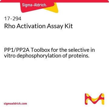 Rho Activation Assay Kit PP1/PP2A Toolbox for the selective in vitro dephosphorylation of proteins.