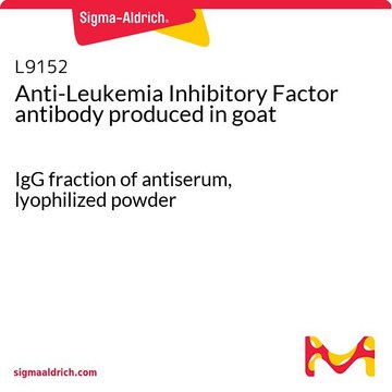 Anti-Leukemia Inhibitory Factor antibody produced in goat IgG fraction of antiserum, lyophilized powder