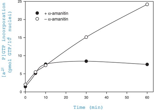 Nuclei Isolation Kit: Nuclei EZ Prep sufficient for 25&#160;nuclei preparations (~1-10×107 cells/preparation)