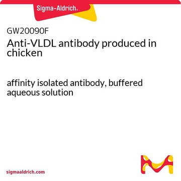 Anti-VLDL antibody produced in chicken affinity isolated antibody, buffered aqueous solution