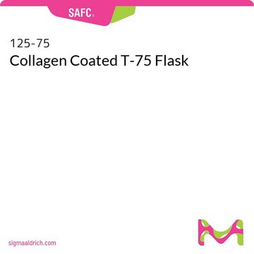 Collagen Coated T-75 Flask