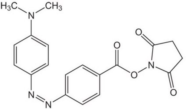 Dabcyl-OSu Novabiochem&#174;