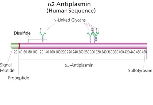 &#945;2-Antiplasmin 来源于人类血浆 lyophilized powder, &#8805;5&#160;units/mg protein