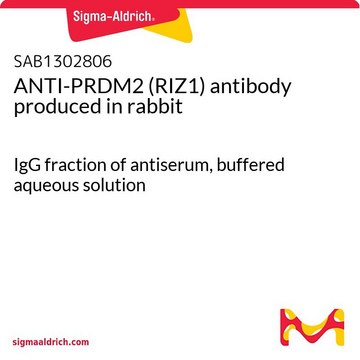 ANTI-PRDM2 (RIZ1) antibody produced in rabbit IgG fraction of antiserum, buffered aqueous solution