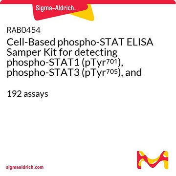 检测培养细胞系中磷酸化-STAT1（pTyr(pTyr701),磷酸化-STAT3 (pTyr705), 和磷酸化-STAT5 (pTyr694)的基于细胞的ELISA试剂盒 192&#160;assays