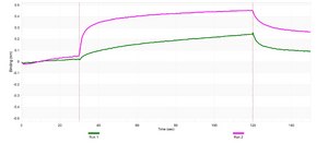 Anti-Trop2 Antibody, clone 2G10 ZooMAb® Mouse Monoclonal recombinant, expressed in HEK 293 cells