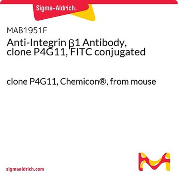 Anti-Integrin &#946;1 Antibody, clone P4G11, FITC conjugated clone P4G11, Chemicon&#174;, from mouse