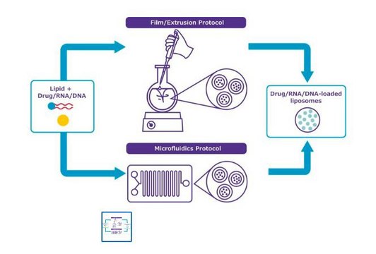 NanoFabTx&#8482; - Mannose Lipid Mix for synthesis of mannose-targeted liposomes