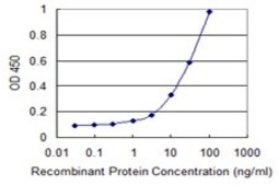 Monoclonal Anti-ARNT2 antibody produced in mouse clone 1B2, purified immunoglobulin, buffered aqueous solution