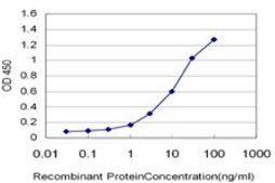 Monoclonal Anti-MSMB antibody produced in mouse clone 3B11, purified immunoglobulin, buffered aqueous solution
