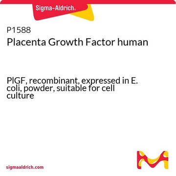 Placenta Growth Factor human PlGF, recombinant, expressed in E. coli, powder, suitable for cell culture