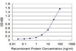 Monoclonal Anti-PAEP antibody produced in mouse clone 4E4, purified immunoglobulin, buffered aqueous solution
