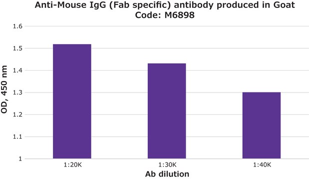 Anti-Mouse IgG (Fab specific) antibody produced in goat affinity isolated antibody, buffered aqueous solution