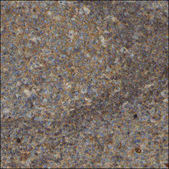Anti-SPHK1 antibody produced in rabbit Prestige Antibodies® Powered by Atlas Antibodies, affinity isolated antibody, buffered aqueous glycerol solution