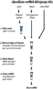 GenElute&#8482; Direct mRNA小量制备试剂盒 sufficient for 10&#160;purifications