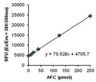 Granzyme B Activity Assay Kit Sufficient for 100 Fluorometric tests