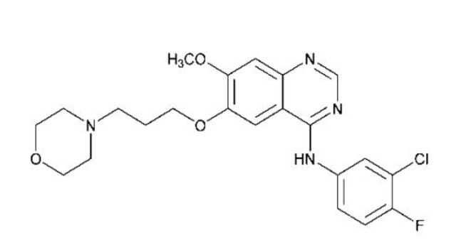 Gefitinib United States Pharmacopeia (USP) Reference Standard