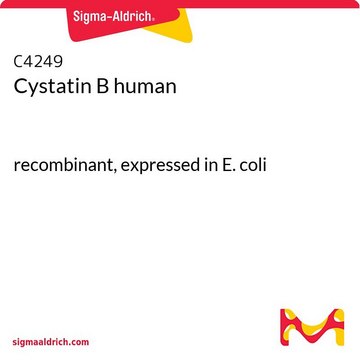 Cystatin B human recombinant, expressed in E. coli