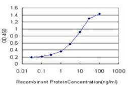 Monoclonal Anti-COL23A1 antibody produced in mouse clone 2E10, purified immunoglobulin, buffered aqueous solution