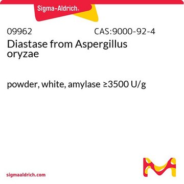 Diastase from Aspergillus oryzae powder, white, amylase &#8805;3500&#160;U/g