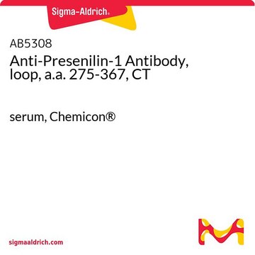 Anti-Presenilin-1 Antibody, loop, a.a. 275-367, CT serum, Chemicon&#174;