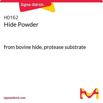 Hide Powder from bovine hide, protease substrate