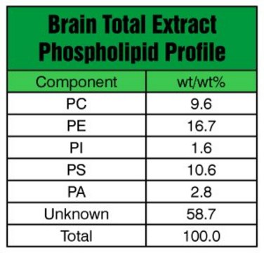 Brain Extract Total Avanti Polar Lipids