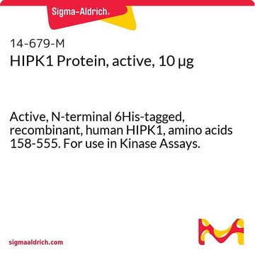 HIPK1 Protein, active, 10 &#181;g Active, N-terminal 6His-tagged, recombinant, human HIPK1, amino acids 158-555. For use in Kinase Assays.