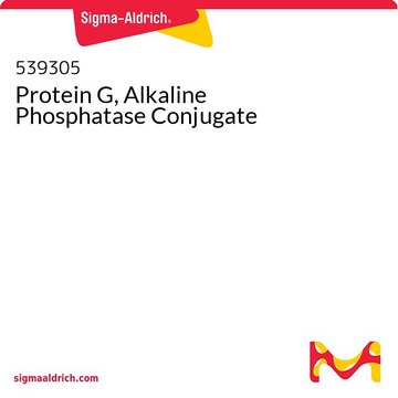 Protein G, Alkaline Phosphatase Conjugate