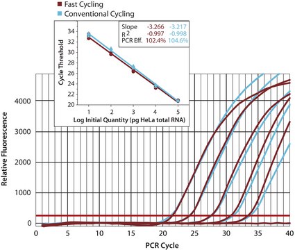 KiCqStart&#174; SYBR&#174; Green qPCR ReadyMix预混液&#8482; with ROX&#8482; for ABI instruments