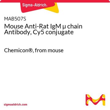 Mouse Anti-Rat IgM &#181; chain Antibody, Cy5 conjugate Chemicon&#174;, from mouse