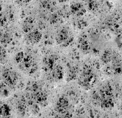 PVC Membrane Filter, 5.0 μm Pore Size Millipore, filter diam. 37 mm, hydrophobic