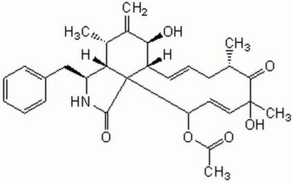 Cytochalasin D, Zygosporium mansonii Cytochalasin D, Zygosporium mansonii, CAS 22144-77-0, is a fungal toxin that is about 10-fold more potent than cytochalasin B in inhibiting actin filament function. Blocks cytoplasmic division.