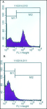 Monoclonal Anti-C10orf54 antibody produced in mouse clone ORF.4, purified from hybridoma cell culture