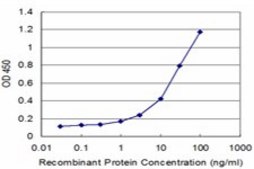 Monoclonal Anti-PEX19 antibody produced in mouse clone 2E4, purified immunoglobulin, buffered aqueous solution