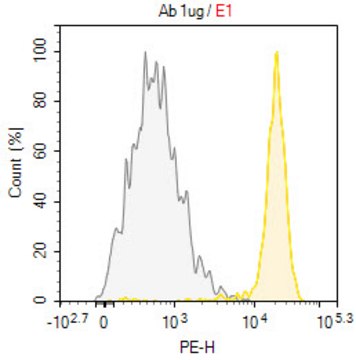 Anti-SIRPA/CD172a Antibody, clone SE12C3