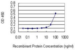 Monoclonal Anti-RNF180, (N-terminal) antibody produced in mouse clone 1C4, purified immunoglobulin, buffered aqueous solution